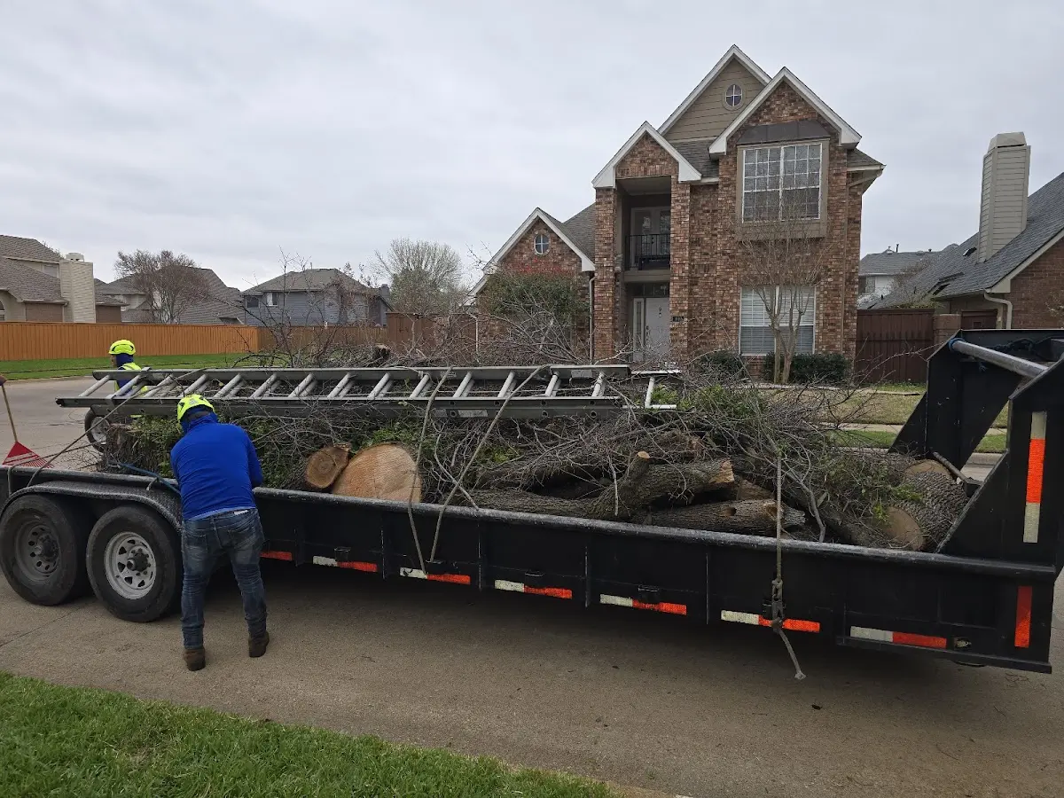Expert Tree Pest Control with proper safety equipment in East Barre